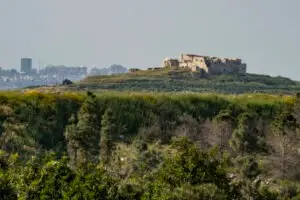 הובלת מקרר בראש העין